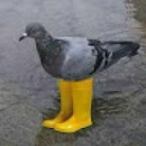 Meet your Posher, Russ